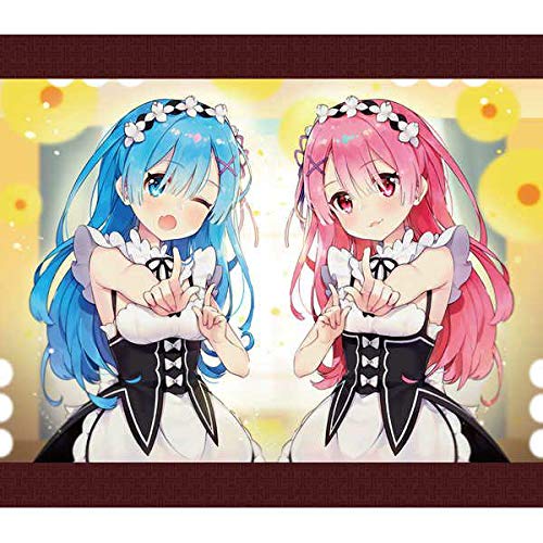 Amazon.co.jp: リゼロ あやみ B2タペストリー : おもちゃ
