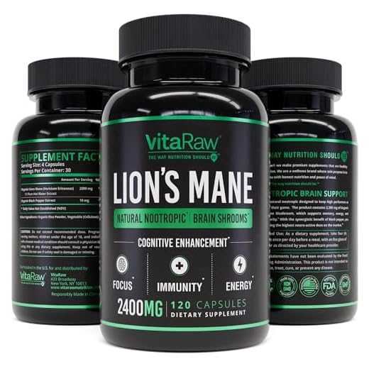 Organic Lion's Mane - Powerful Memory and Energy Supplement
