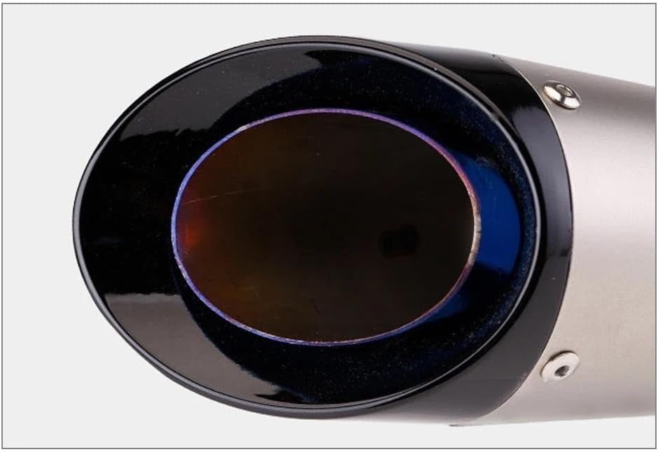 プリティー KAWASAKI Z250FT 2-1管 50.8π ALサイレンサー タイプ2 黒