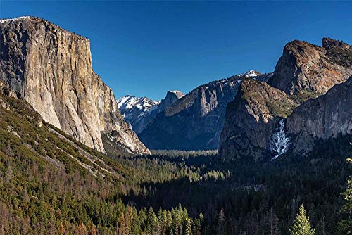 YUMUYAO Jigsaw Puzzle 1000 Pieces Adult Puzzle Wooden Puzzle Classic 3D Puzzle Forests Scenery Diy Modern Art Home Decor,75X50Cm