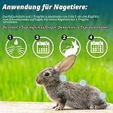 Marsavet Spot-on – Natürlicher Zecken- und Flohschutz für Haustiere, 50 ml – Natürlicher Repellent für Katzen, Hunde, Vögel und Nager