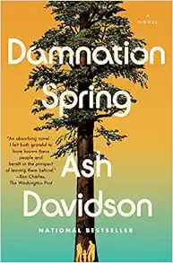 Damnation Spring book cover