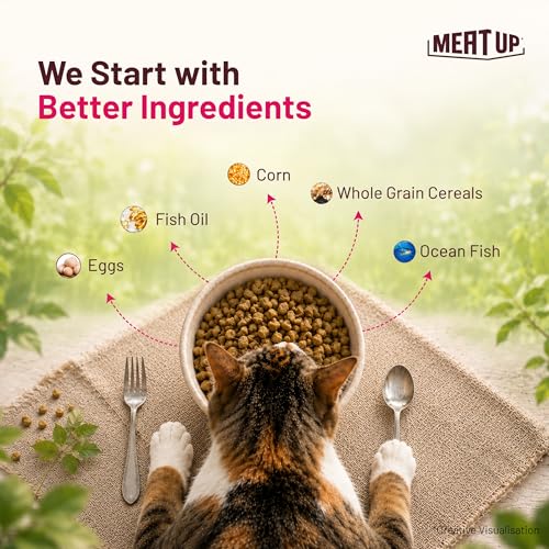 Image of Meat Up Adult Dry Cat Food 3Kg + 3kg (Free) 6Kg | Ocean Fish Flavour | Buy 1 Get 1 | Controls urinary pH | Taurine for Healthy Heart | Healthy Skin & Coat | Hair Ball Protection