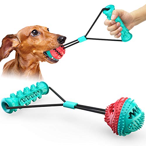Dogs Molar Combination Toy Ball—Interactive Prey Toy for Multiple Dogs—Can Be Used as A Water Toy, Interactive Educational Toy to Improve The Dog s Agility XNYCWX