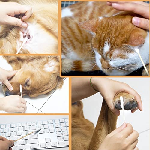 MZQSIY 50 Stück Pet Dog Ear Cleaner Bamboo Cotton Buds 15.5cm verbesserter Langer Stock, Wachsentferner, juckende Ohren, Reinigungstupfer zur Reinigung von Tieren, Infektionen(50 Stück)
