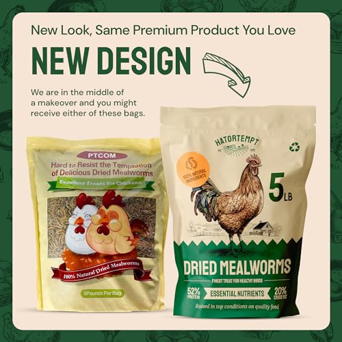 Dried-Mealworms-5-lbs--Premium-Organic-Non-GMO-Dried-Mealworms-for-Chickens--High-Protein-Chicken-Feed-Meal-Worms-for-Wild-Birds-Chicken-Treats-for-Laying-Hens