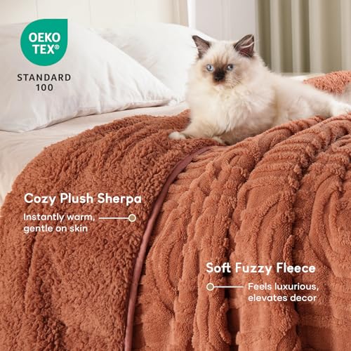 Image of Cottonblue Jacquard Weighted Blanket for Adults 20 lbs Queen Size, Cozy Fluffy Sherpa Fleece Weighted Throw Blankets 60 inch x 80 inch for Sleep Relax, Fuzzy Warm Arch Heavy Blanket for Bed Couch, Rust Pink