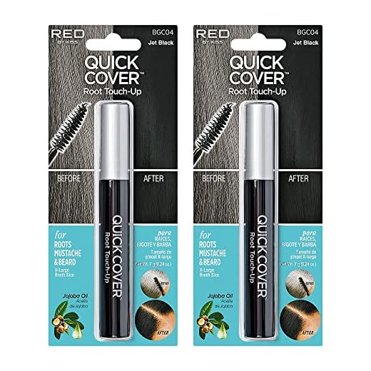 Kiss Colors Quick Cover Gray Hair Touch Up Brush Jet Black BGC04 (2pcs)