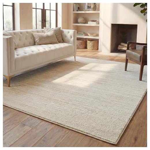SAFAVIEH Adirondack Collection Area Rug