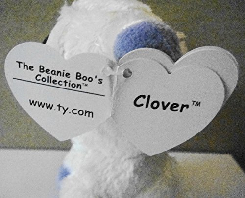 clover beanie boo