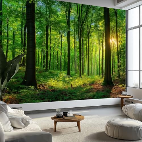 Papel pintado no tejido con bosque natural, sol, árboles, dibujo, fotorealismo, habitación infantil, salón, dormitorio, sala de juegos, moderno, decoración de pared, 250 x 175 cm (ancho x alto)