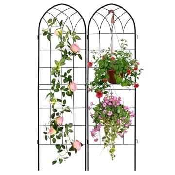 iron trellis for climbing plants