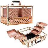 Ver Beauty Professional Jewelry & Makeup Organizer, 3.8mm Heavy Duty Acrylic Travel Case with 6 Exte