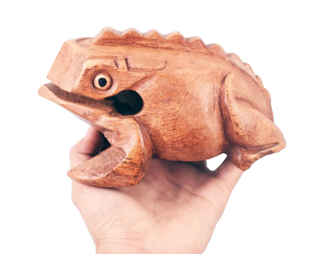 Grenouille Guiro Bloc de bois Instrument de musique Percussion Instrument de musique Taille parfaite Güiro en bois naturel (6,5 pouces - 16,5 cm)