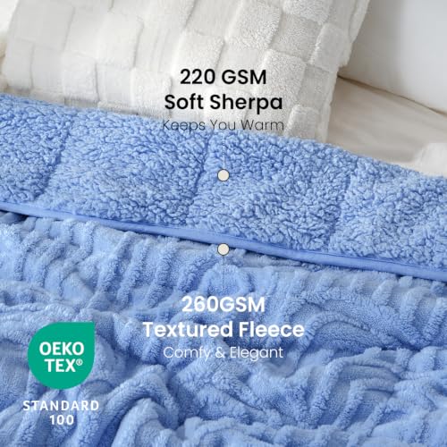 Image of Drewin Weighted Blanket for Adults Queen Size 15lbs, Soft Cozy Turtleback Sherpa Weighted Blankets for Sleeping and Calming, Thick Bed Blanket for Couch Bed, 60 x 80 inches, Sky Blue
