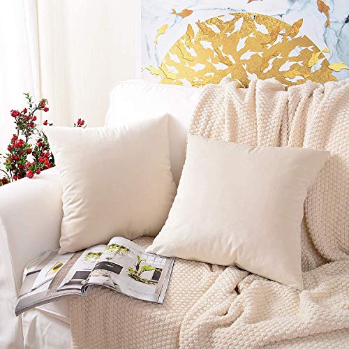 Image of Modern Homes (Pack of 2) Velvet Cushion Covers Plain Sofa Cushion Covers Pillow Covers for Living Room and Bedroom (16x16 inches, Cream)