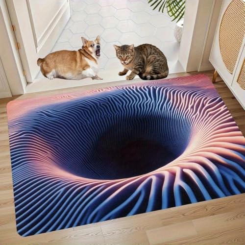 3D Optical Illusion Hole in The Floor Rug Front Door Mat, Kids Playroom Floor Carpet Mat Non-Slip for Indoor Outdoor Entrance, Living Room, Office, Bedroom, Study, Terrace Porch