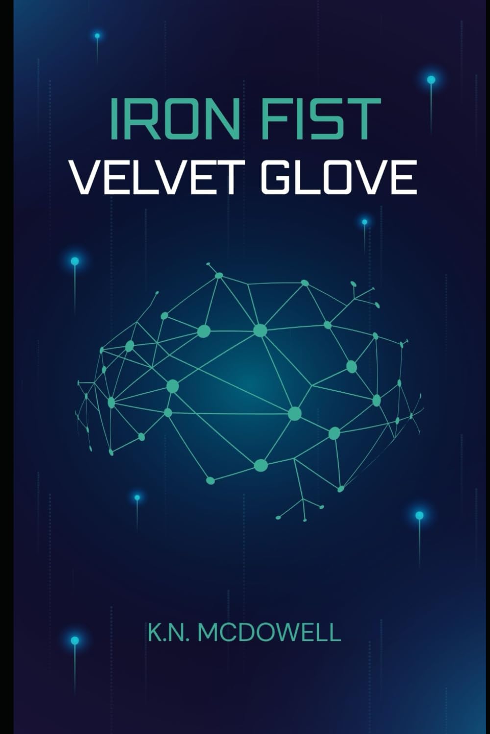 IRON FIST, VELVET GLOVE (Velvet & The Veil)