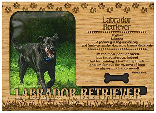 Labrador Retriever Engraved Wood Picture Frame Magnet