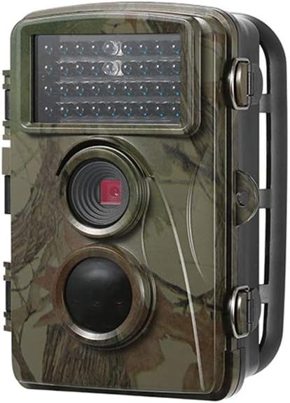 guide di campo per piante selvatiche