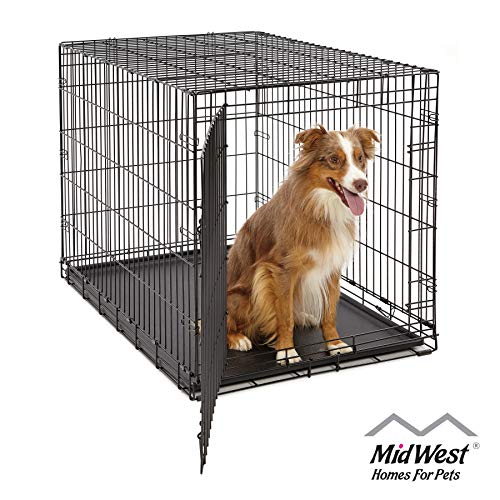 Dog Crates Reviews And Ratings