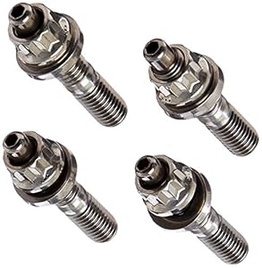 ARP 434-1301 Bolzen-Kit für Chevy LS1