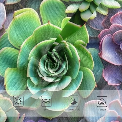 Colorful Succulents Toddler Girls's Underwear 2T 202c18733