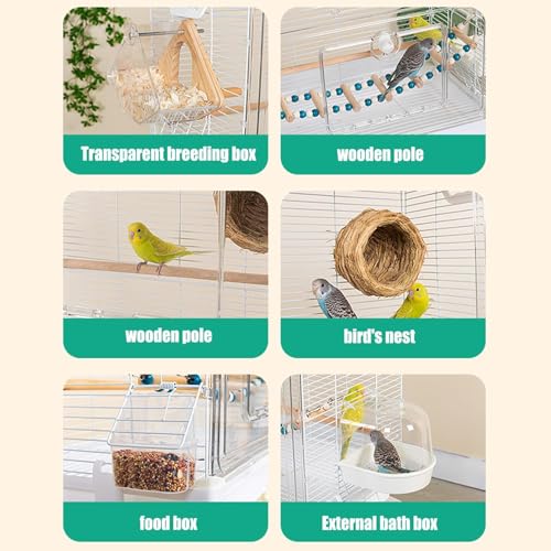 Cage oiseau transparente d'intérieur pour cacatoès conures et pinsons