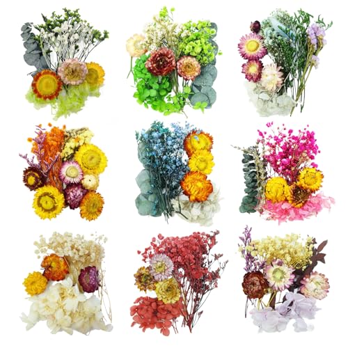 TooGet Dried Flowers 9 Bags Mixed Color Natural Real Dried Flowers Leaves for Crafts Colorful Mini Dry Wildflowers Plants for DIY Art Candle Resin Jewelry Crafts Weeding Home Decorations
