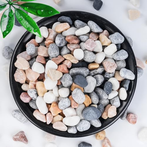 SIDONG Mixed Color Gravel