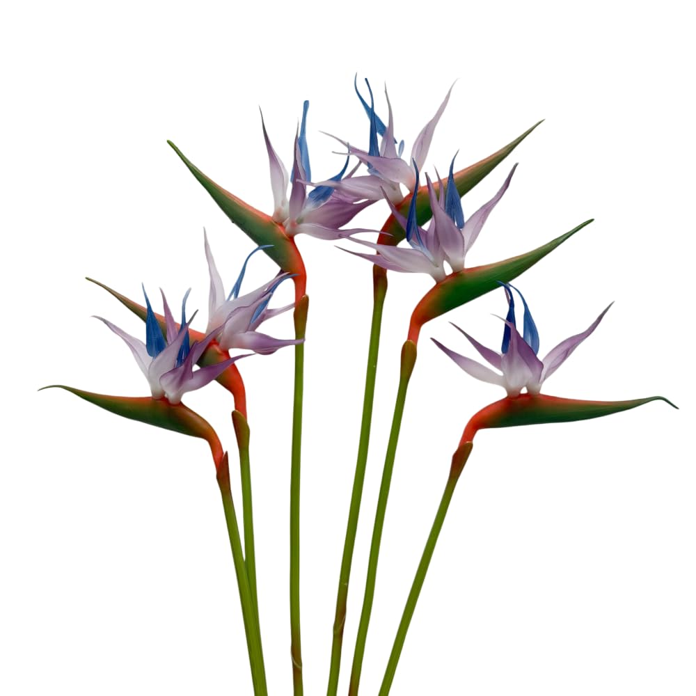 Plantes artificielles Strelitzia de 73,7 cm violet clair pour salon et jardin | Lot de 6