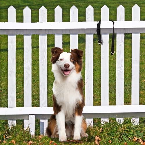 PetSafe KeepSafe Break-Away Dog Collar, Royal Blue, 3/4 in Wide, Medium - image 2