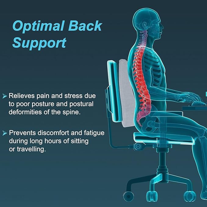 Image of NTGS PU Foam Backrest with Adjustable Strap - Ergonomic Back Pillow for Office Chair, Car Seat, Home & Travel Orthopedic Lumbar Support Cushion for Chair.