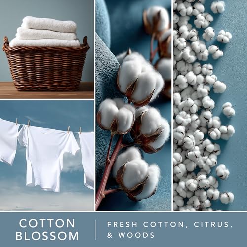 Scentsationals Cotton Blossom Scented Wax Melts - Fresh Cotton, Citrus, & Woods, 10oz (24 Cubes) - Image 3