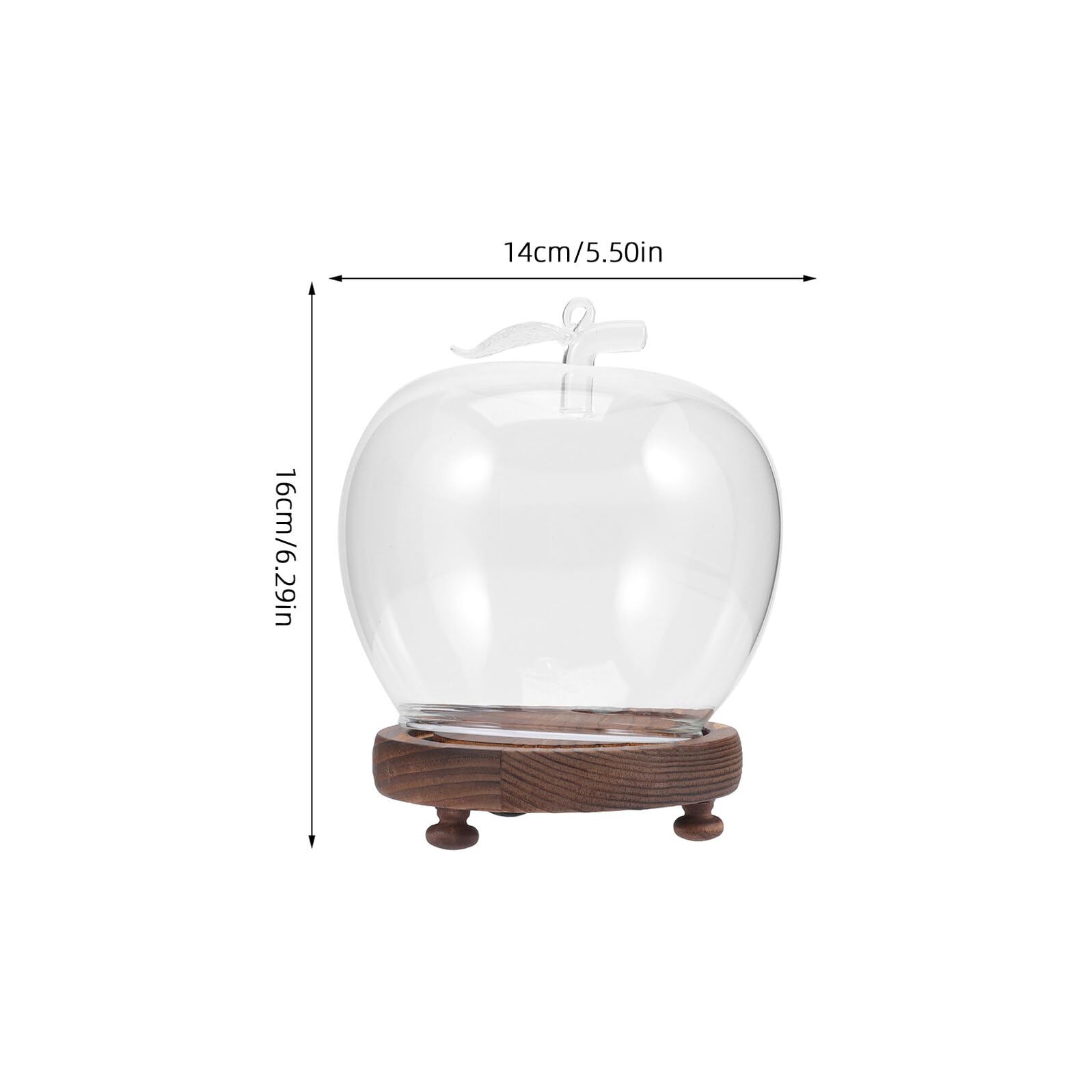 CLISPEED Lot de 2 dômes en verre avec base, artisanat artistique et base en bois éclairé, éclairage d'ambiance chaud, décoration de maison, bureau, vitrine décorative pour travaux manuels