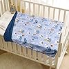 Donsonny Baby Blanket for Boys Girls Soft Minky with Double Layer Dotted Backing, Koala Printed 30 x 40 Inch Receiving Blanket #1