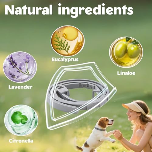 Zeckenhalsband für Hunde und Katzen,Flohhalsband Wasserdicht und Verstellbar,100% Natürliche Inhaltsstoffe,Bis zu 8 Monate Schutz Gegen Zecken und Flöhe Natürlichen Inhaltsstoffen