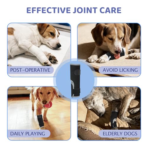Image of Dog Front Leg Brace - Hock Joint Compression Wrap Providing Stability XL