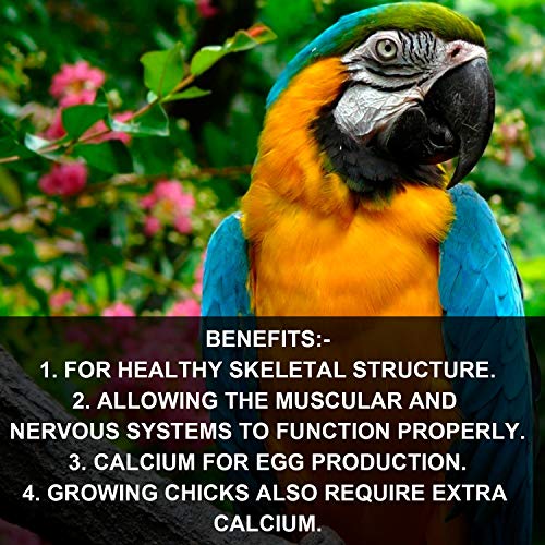 Image of Pet Care International (PCI) Cal Care for Essential Calcium to Healthy Bird Healthcare (100ml)
