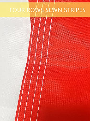 Drapeau mexicain indéchirable contre le vent en polyester double couture - 5