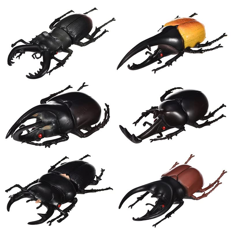 Hosfairy 6Pcs Fake Beetle Halloween Beetle Model Halloween Entomological Bugs Model for Halloween Christmas Birthday April Fool's Day Party