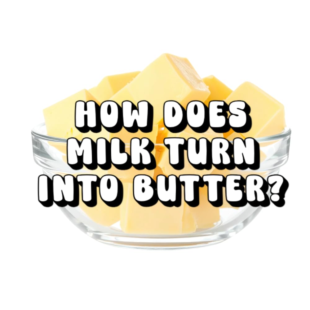 How Does Milk Turn Into Butter?