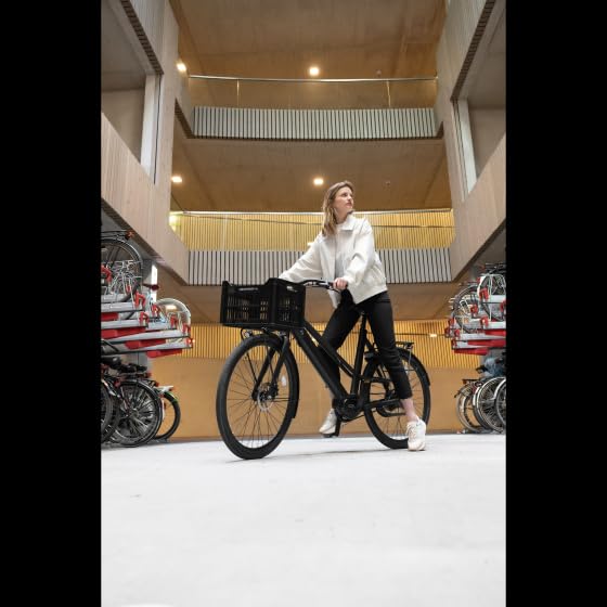 Cage De Vélo Urbaine Taille Unique - 30 Litres, Compacte Et Solide - 12 Coloris Tendance - Installation Facile Sur Porte-bagages
