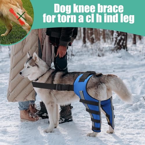 Rückenbandage für Hunde, Rückenstütze für Hunde | Hüftstütze von Pet Hock, tragbarer Wundschutz für Haustiere zur Erholung von Kleintieren