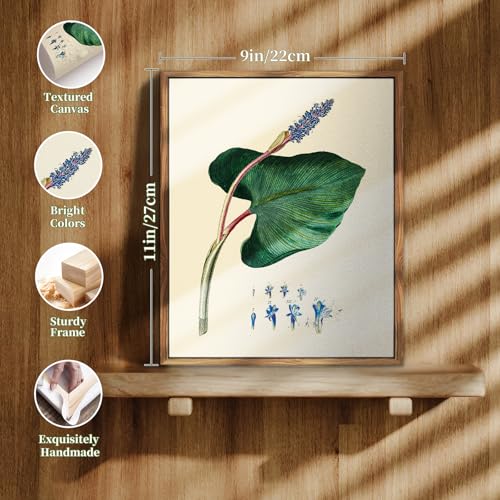 crmotu Botanical Framed Wall Art, Green Leaf Canvas Art Prints, Nature Plant Study Vintage Pictures, Minimalist Rustic Farmhouse Wall Decor, Bedroom Kitchen Desktop Bathroom Decorations, 9x11inch