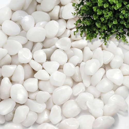 dellyy Decorativas Grava Blanca, 500g, Pequeñas Grava Blanca, Mini Piedras Decorativas, Pequeños Guijarros Blancos, Mini Canto Rodado Blanco, Pequeños para Macetas, Jardines, Acuarios