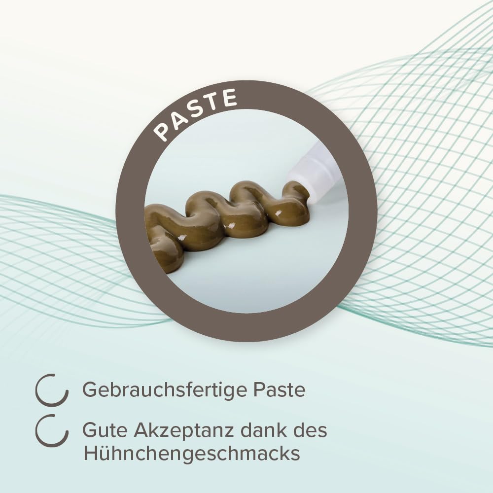 BEAPHAR - Pâte IntestoPro pour Chats - avec zéolite - avec MOS & FOS - Favorise l'équilibre de la Fonction intestinale - 20 ML