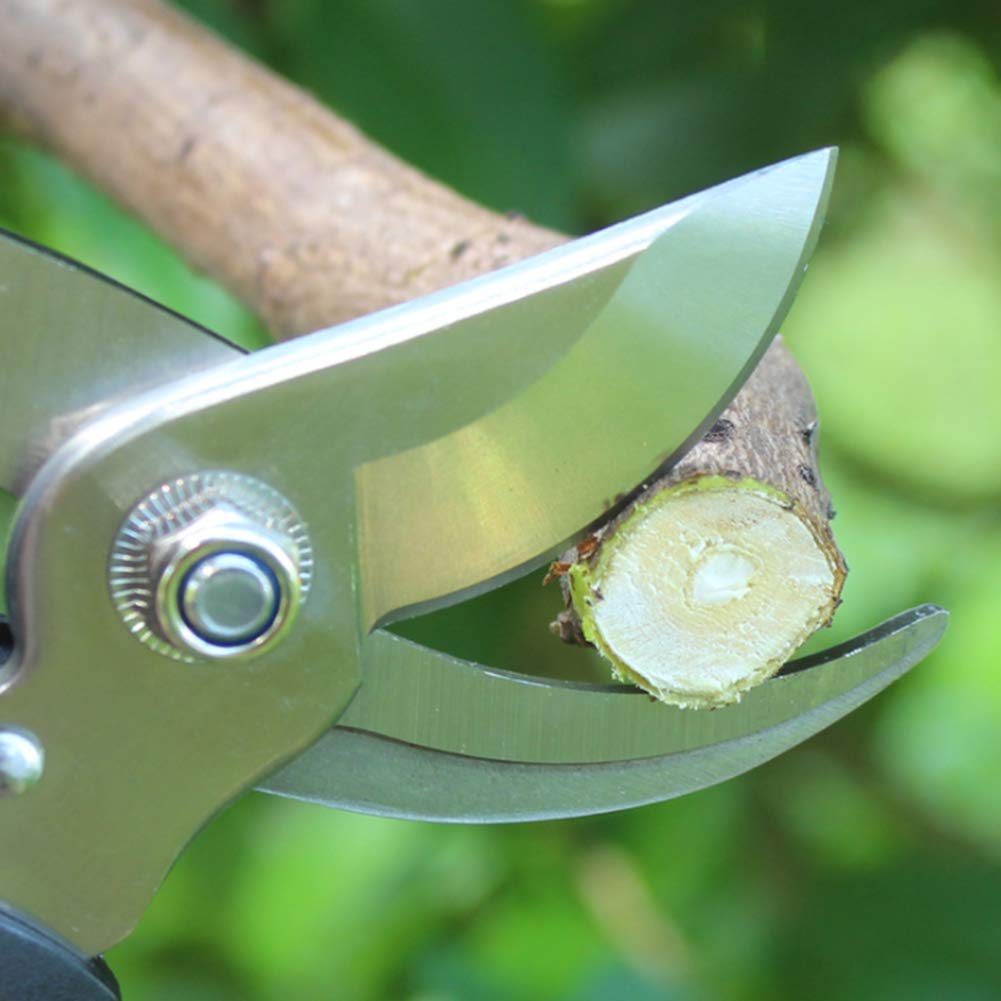 Gartenschere, robuste, ultrascharfe Mehrzweck-Gartenschere aus rostfreiem Stahl für die Gartenernte von Obst und Gemüse für Jede Familie