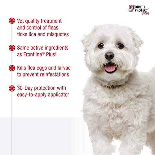 Direct Protect Plus 100536269 Flea & Tick Topical Treatment for Dogs, Waterproof & Fast Acting, 3 Month Supply, 5-22 lb