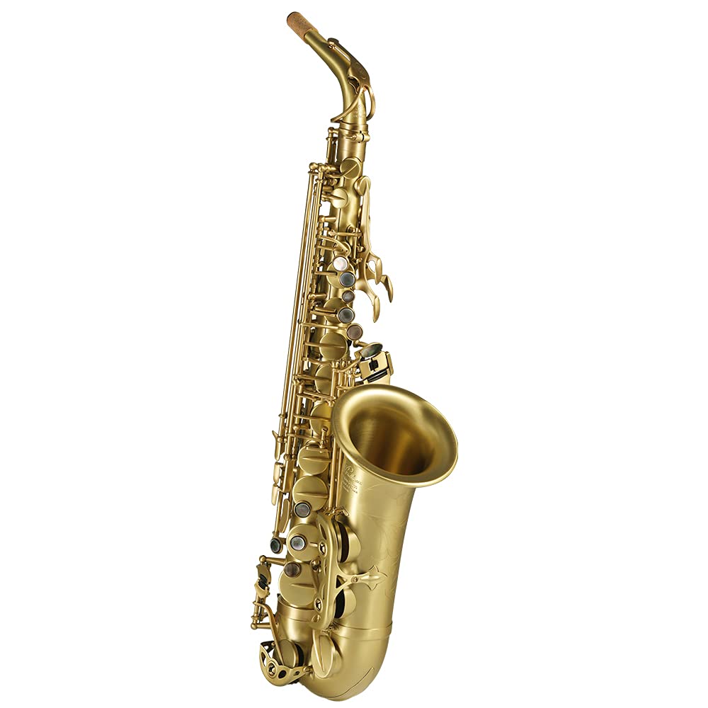 Rollins Saxophone alto RSA-X5,E flat Selmer 54-Key,Matière laiton,Or